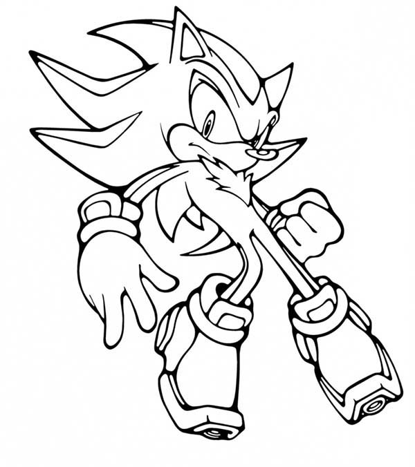 Sonic #53003