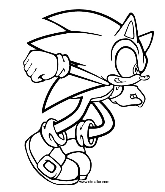 Sonic #53005