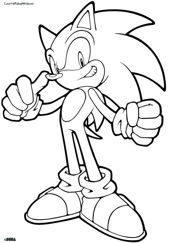Sonic #53030