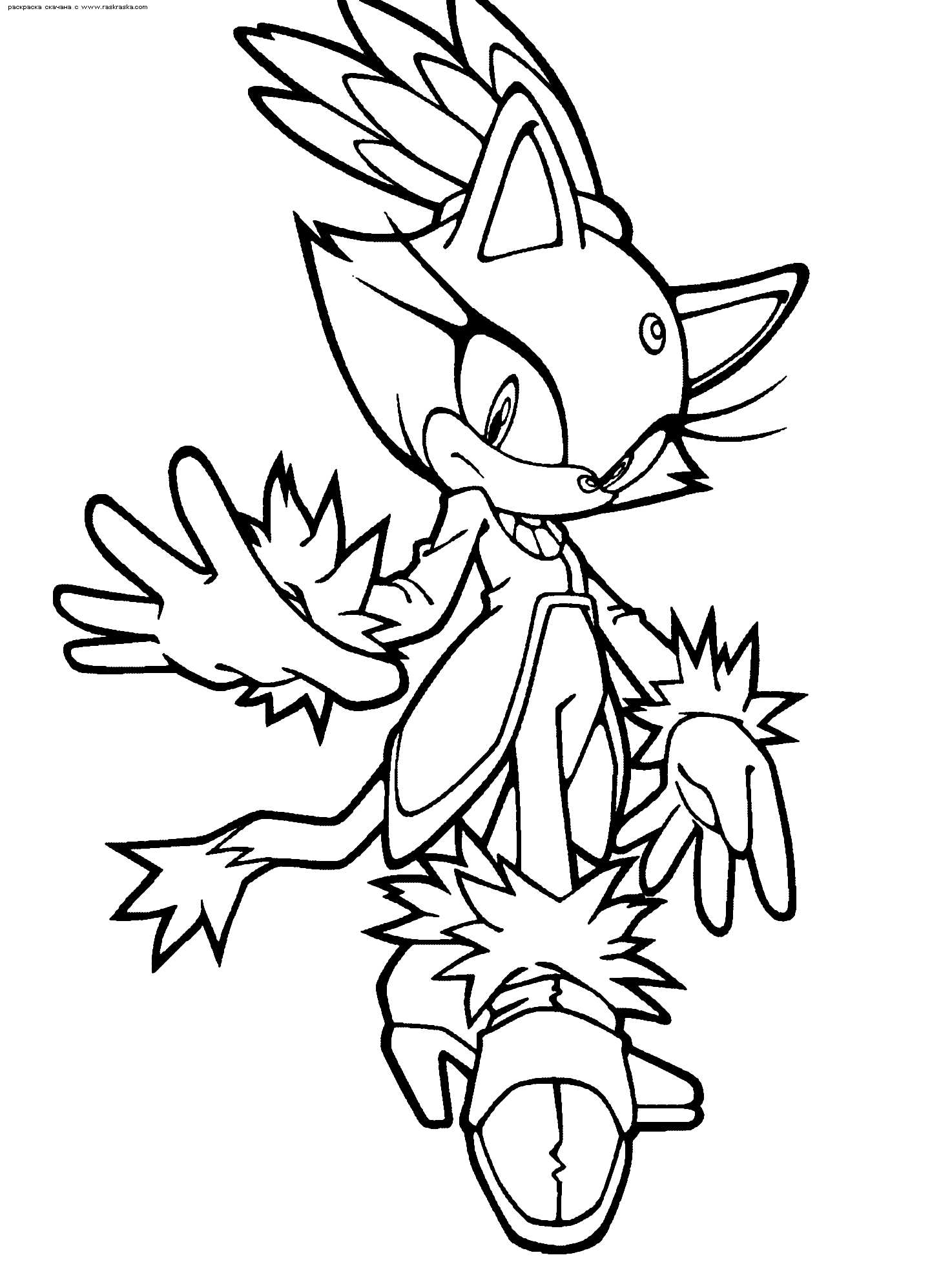 Sonic #53036