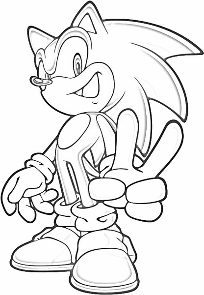 Sonic #53045