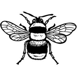 Abeja #11