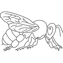 Abeja #27