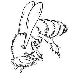 Abeja #46