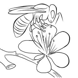 Abeja #7