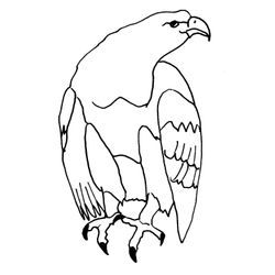 Águila #100