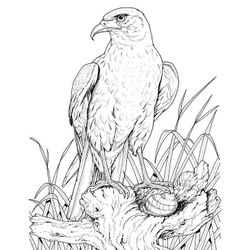 Águila #103