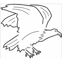 Águila #104