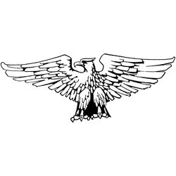 Águila #69