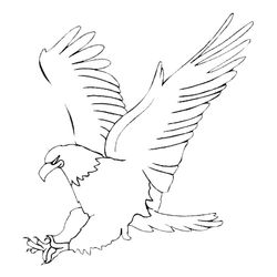 Águila #71