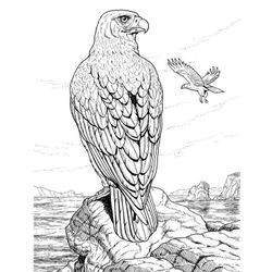 Águila #73