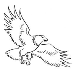 Águila #74