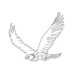 Águila #75