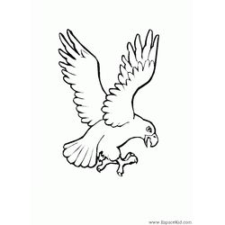 Águila #76