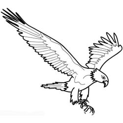 Águila #82