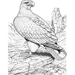 Águila #84