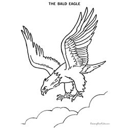 Águila #87