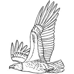 Águila #88