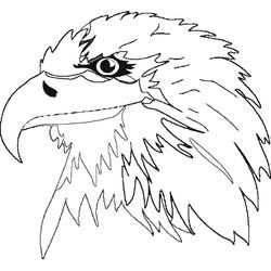 Águila #92