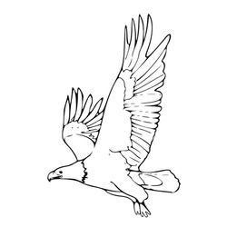 Águila #94