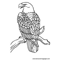 Águila #96