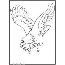 Águila #97