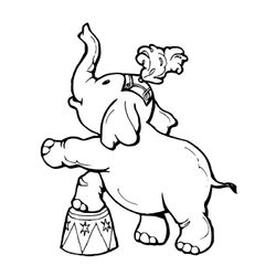 Animales de circo #127