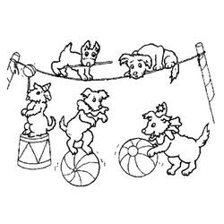 Animales de circo #128