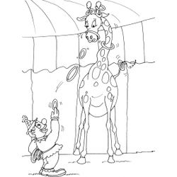 Animales de circo #135