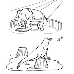 Animales de circo #144