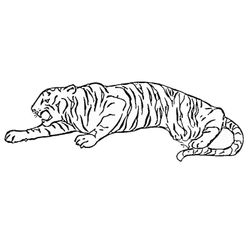 Animales de circo #156