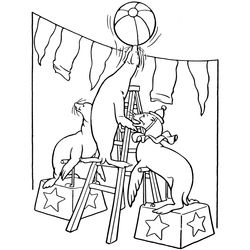 Animales de circo #163