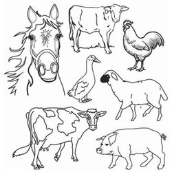 Animales de granja #173