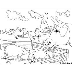 Animales de granja #180