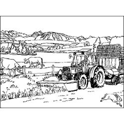 Animales de granja #186