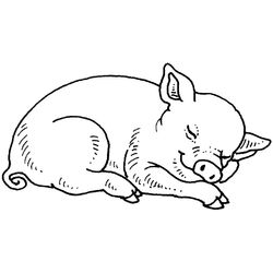 Animales de granja #188