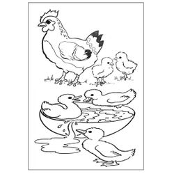 Animales de granja #202