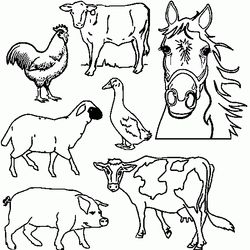 Animales de granja #217