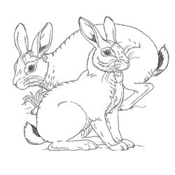 Animales de granja #221