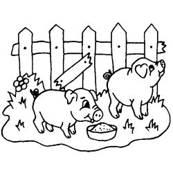 Animales de granja #222