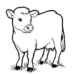 Animales de granja #223