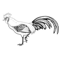 Animales de granja #246