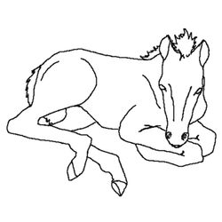 Animales de granja #252