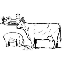 Animales de granja #255