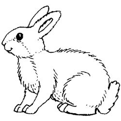 Animales de granja #257