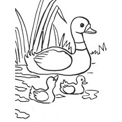 Animales de granja #276