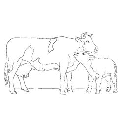 Animales de granja #282