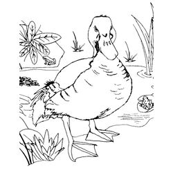 Animales de granja #299