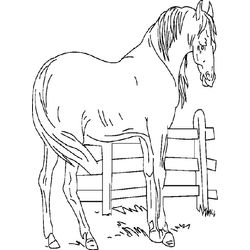 Animales de granja #302