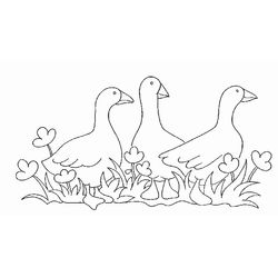 Animales de granja #308